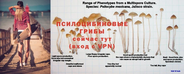 а пвп мука Балабаново